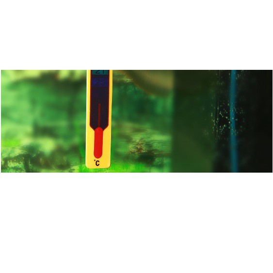 Nhiệt kế dán thành bể Sera