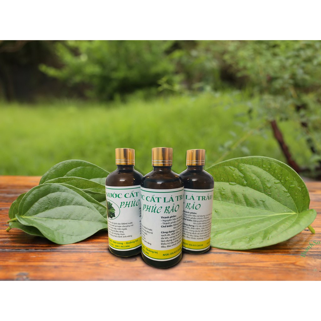 Nước cất lá trầu nguyên chất 100ml