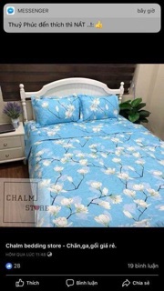 Bộ cotton poly trần phủ