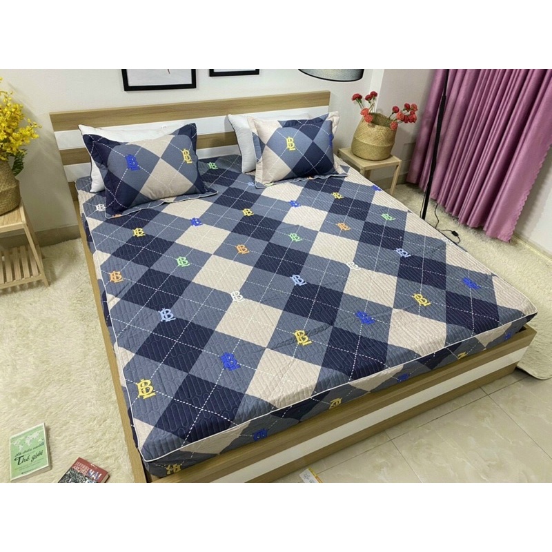 com bo ga và 2 gối