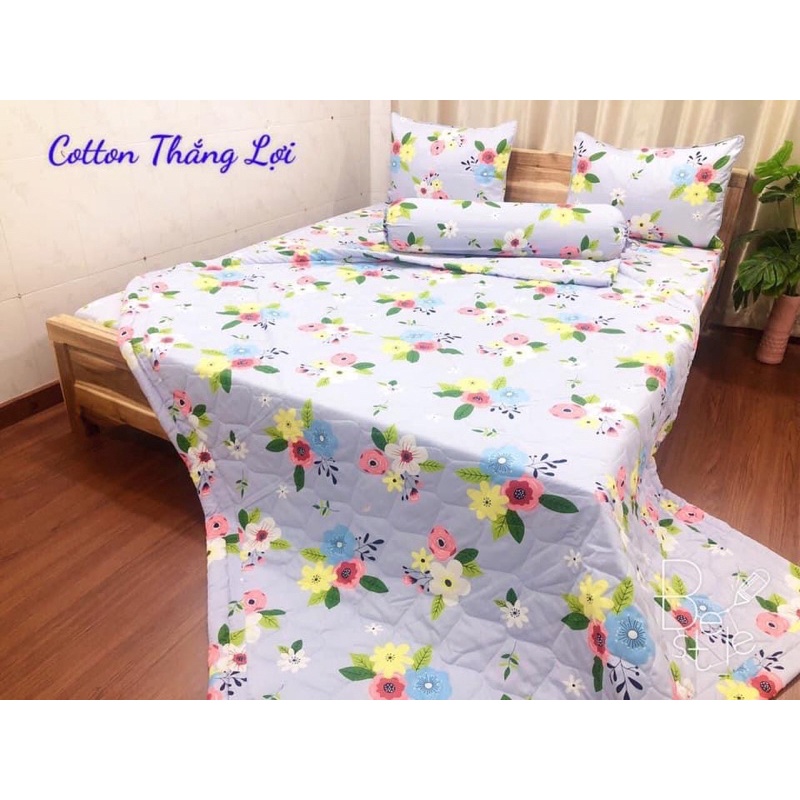 SET 5 MÓN {Size Drap 1m6,1m8} VẢI COTTON THẮNG LỢI Có Logo inbox chọn mẫu