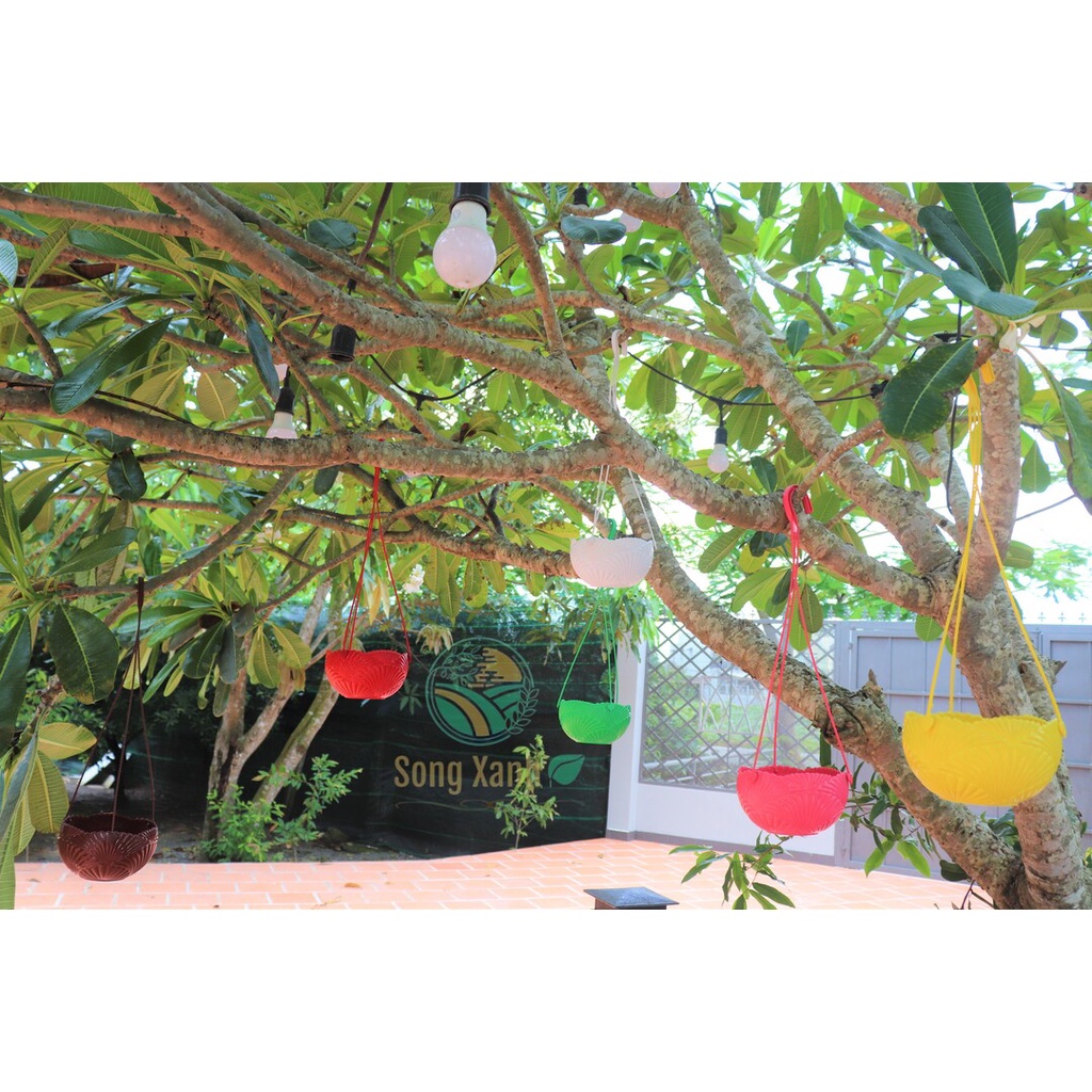 Chậu Nhựa Treo Họa Tiết Vỏ Sò, Nhựa Dẻo loại 1, Sẵn lỗ thoát nước .