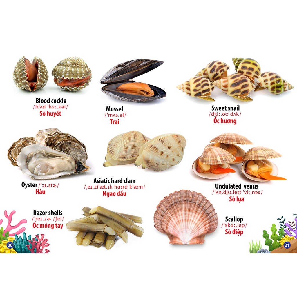 Sách Thư Viện Hình Ảnh Song Ngữ Đầu Tiên của bé - Động vật dưới nước