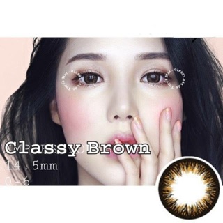 Lens vassen classy brown có cận