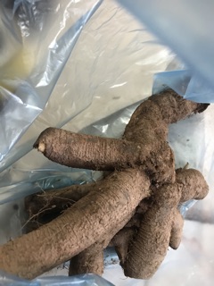 CỦ GAI TƯƠI AN THAI 1 kg