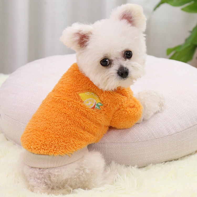 Áo ấm cho chó mèo - Áo sweater thêu họa tiết trái cây hoạt hình giữ ấm mùa đông cho thú cưng