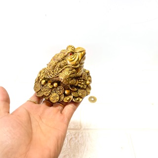 CÓC NGẬM ĐỒNG TIỀN CAO 7x9cm nặng 400gr chất liệu bằng đồng  💯 phong thủy tài Lộc cho gia chủ