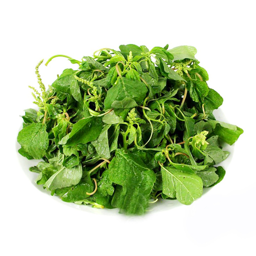 HẠT GIỐNG DỀN CƠM 10 GAM - THUẬN ĐIỀN
