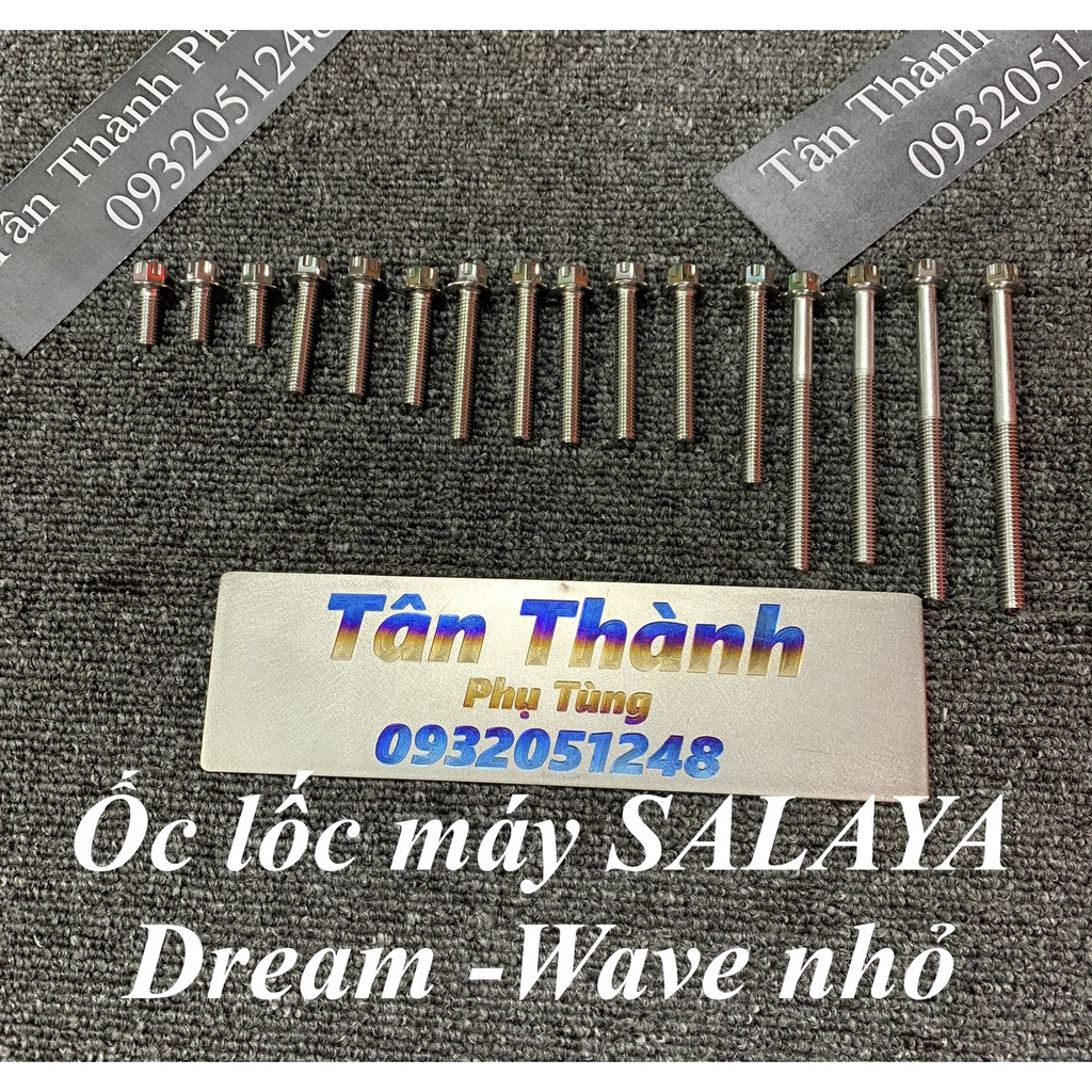 Bộ ốc lốc máy SALAYA Wave nhỏ -Dream - 16 con
