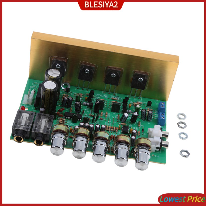 Mô Đun Khuếch Đại Âm Thanh 100W + 100W Kênh Kép Chất Lượng Cao Blesiya2
