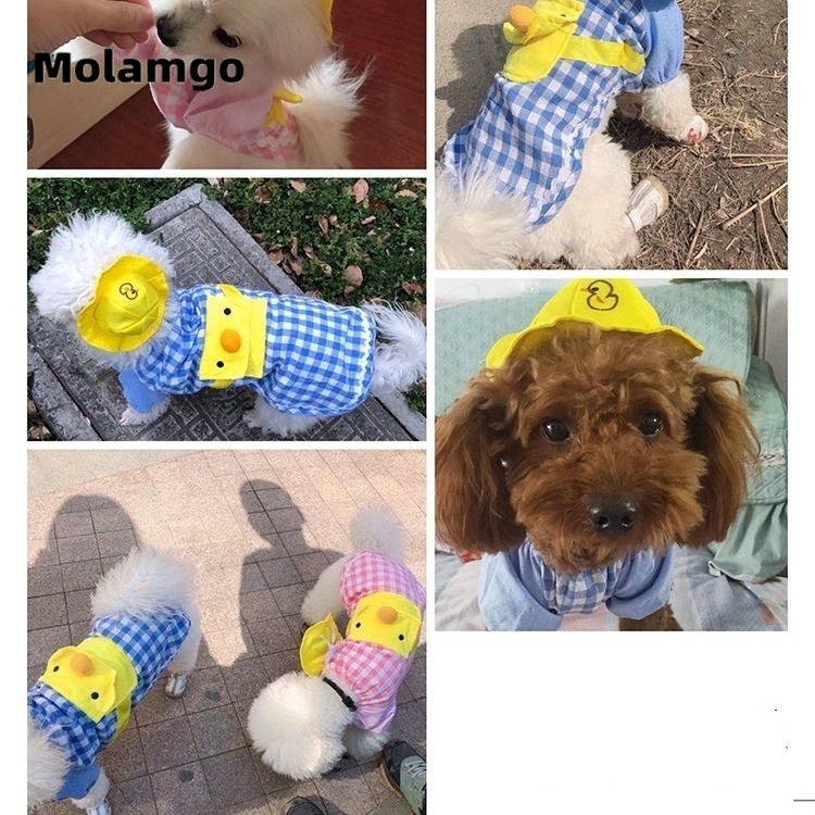 MOLAMGO  Set đồ thời trang xuân thu xinh xắn cho thú cưng