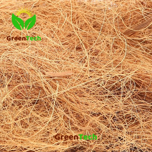 [ Giá Sỉ ] Sơ Dừa Sợi Đã Xử Lý