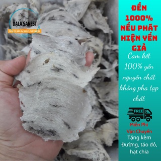Yến thô nguyên tổ, tổ yến sào thô nguyên chất dala sanest