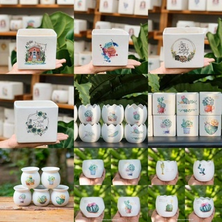 Chậu cây mini decal, chậu cây Bát Tràng