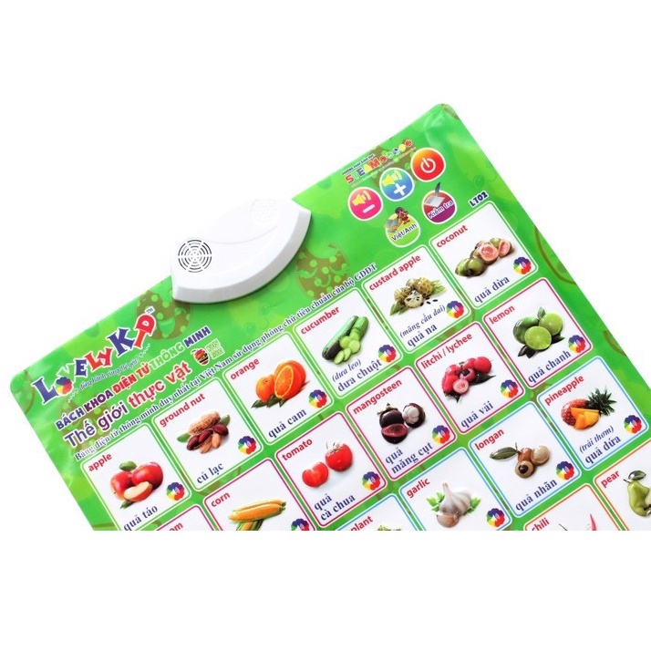 Bảng Điện Tử Thông Minh Treo Tường  - LT02