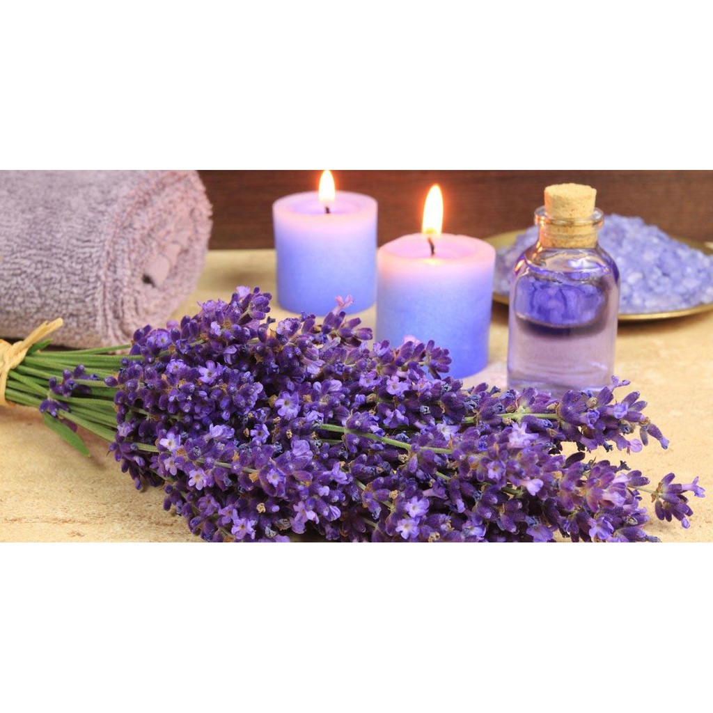 Tinh Dầu Oải Hương Lavender Nguyên Chất 20ml