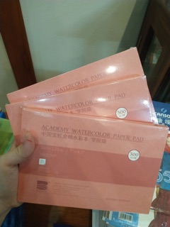 Giấy Baohong vân hot 300gsm