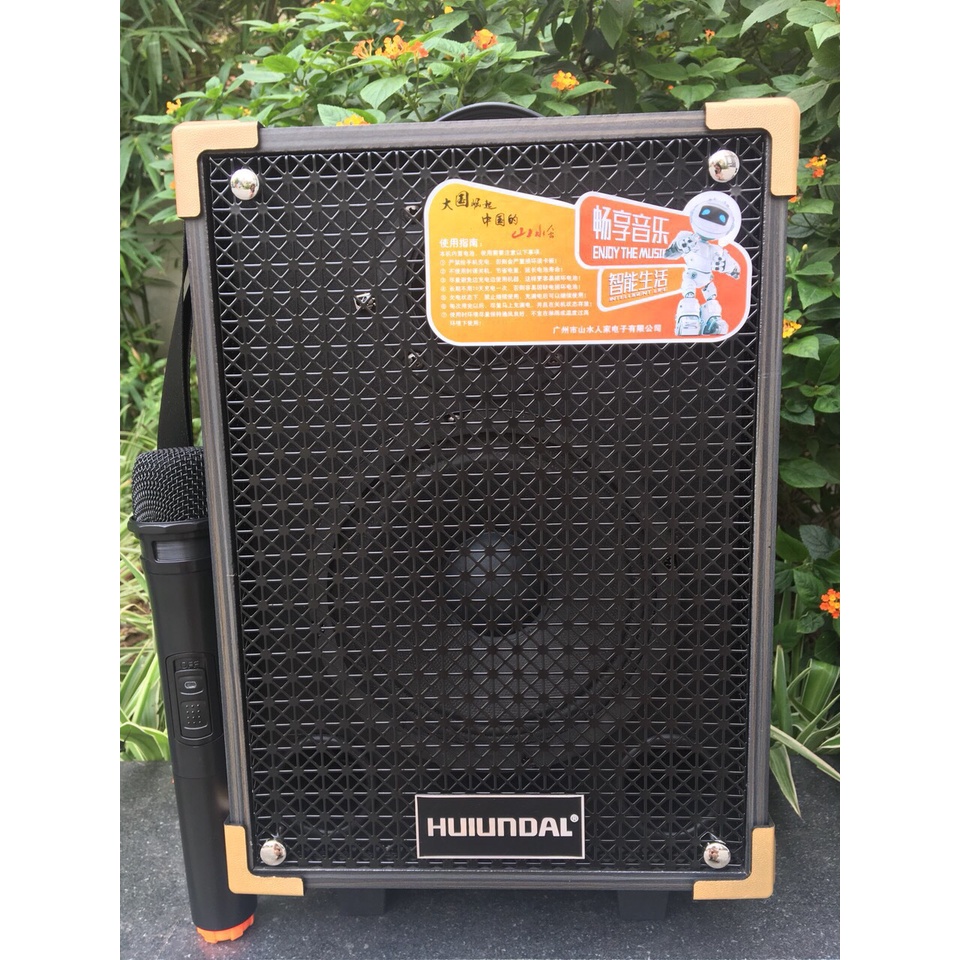 Loa kéo karaoke mini hát cực hay giá rẻ Temeisheng A8-2T, thùng gỗ tăng kèm 1 micro không dây âm thanh cưc hay