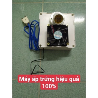Combo chế máy ấp trứng đã lắp sẵn