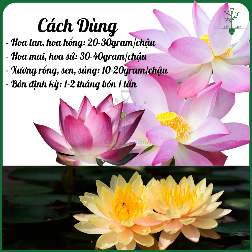 Phân Bón Trùn Quế Viên Nén HPD Cao Cấp Phân Bón Hữu Cơ Chuyên Cho Lan Và Cây Kiểng Gói 1kg
