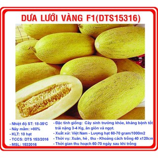 Hạt giống Dưa lưới vàng - Rau củ quả trồng tại vườn, sân thượng, nông trang, ban công