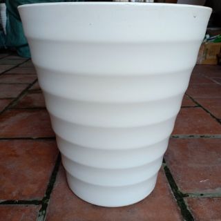 Chậu gân cao- combo 5 chậu