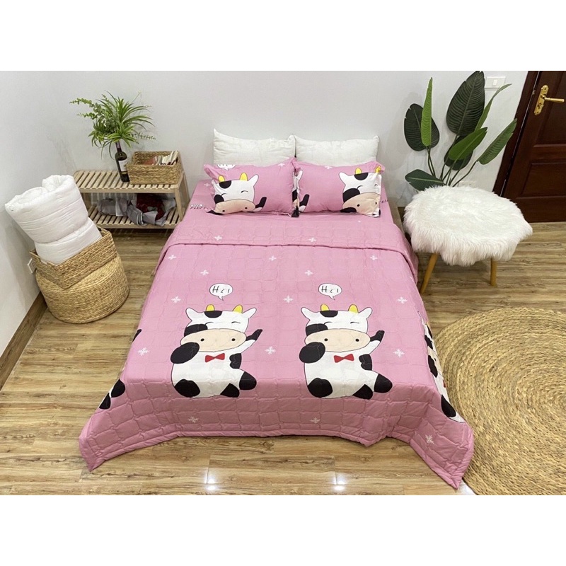 Bộ chăn ga gối hè cotton poly Boss Decor, chăn hè trần bông họa tiết mền đáng yêu