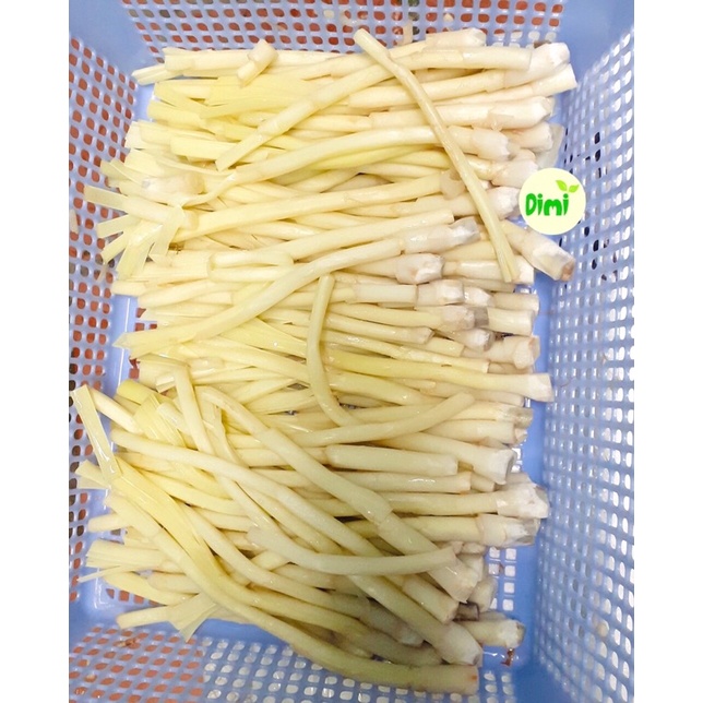 Cây Bồn Bồn miền Tây ngâm đóng gói ăn Lẩu, làm gỏi cực ngon