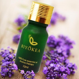 Tinh dầu Oải Hương Lavender nguyên chất 100% - Tinh dầu xông phòng