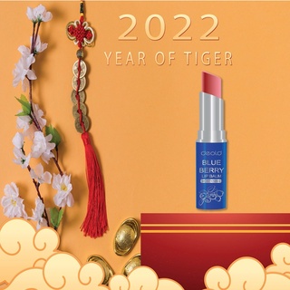 Son Dưỡng Ngừa Thâm Môi Deold Blueberry Lip Balm màu Đỏ Cam 3.3g