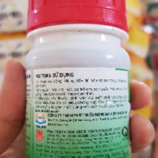 Sơ đen xì mũ thán thư trên cây mít