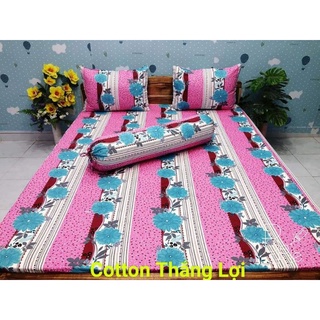 Bộ Drap Cotton Thắng Lợi 1m6