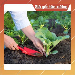 Đất trồng rau - đất sạch hữu cơ đất tribat