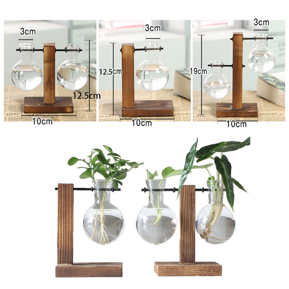 Chậu kính trồng cây thủy canh kèm khung gỗ phong cách cổ điển độc đáo trang trí nhà cửa