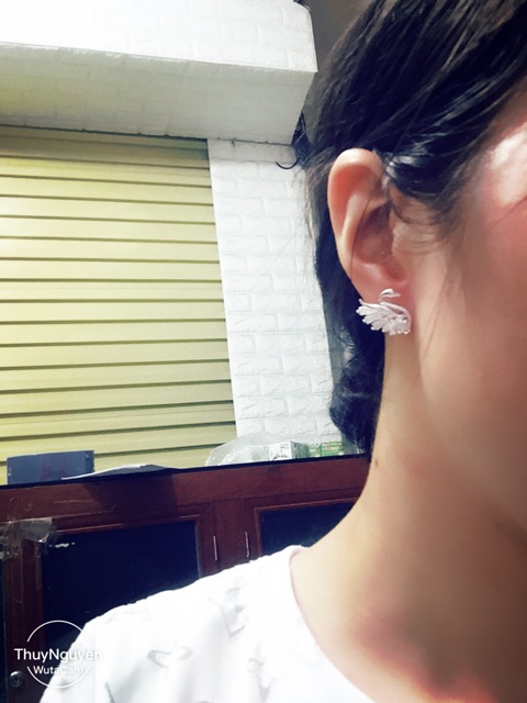 Khuyên tai thiên Nga sát tai siêu to siêu đẹp bạc ta cao cấp
