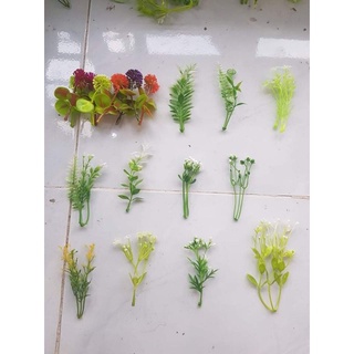 Cỏ điểm trang trí hoa, cỏ điểm cân, cỏ điểm