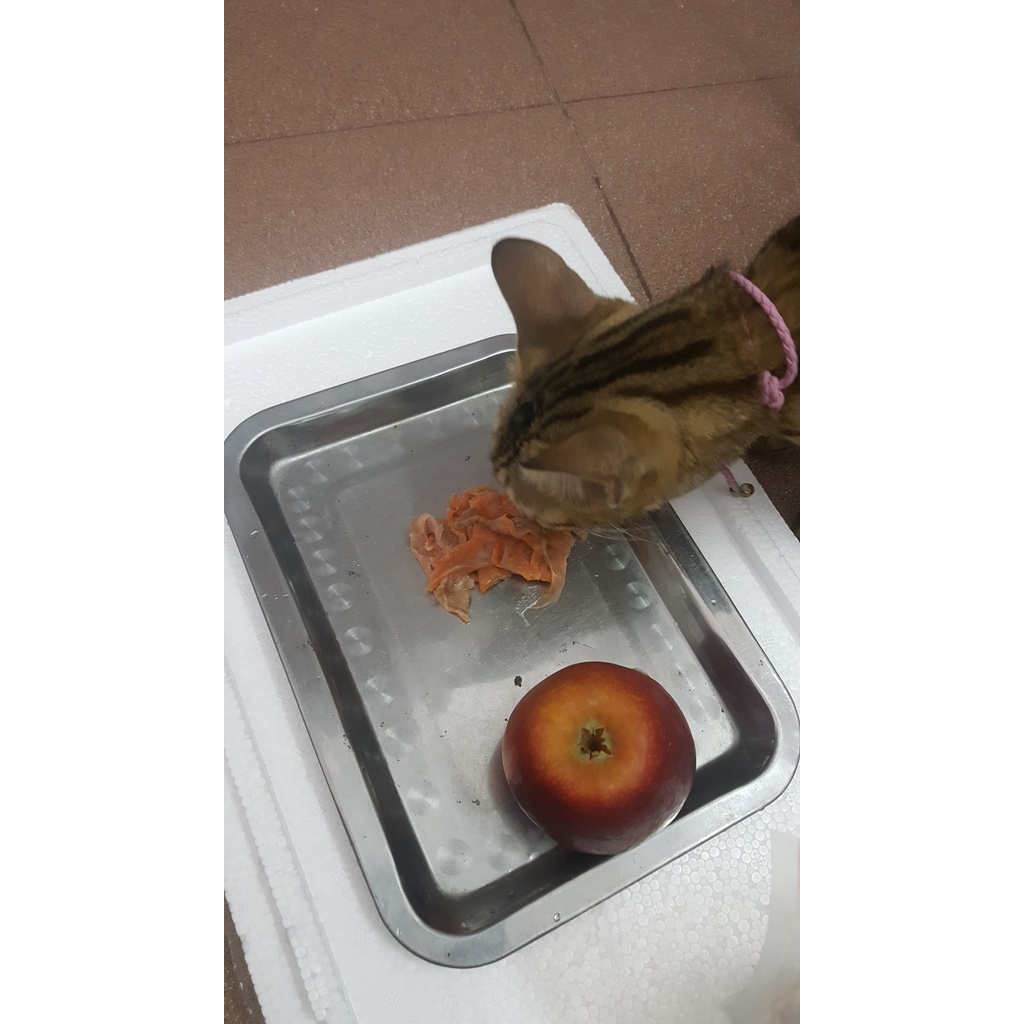 VỤN CÁ HỒI NGON BỔ RẺ 45k/1KG/TÚI