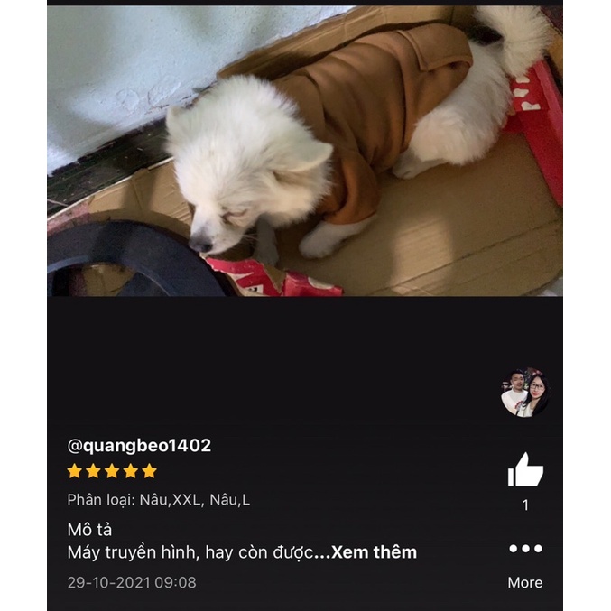 Áo Cho Chó Mèo, Áo Hoodie dành cho thú cưng, A3