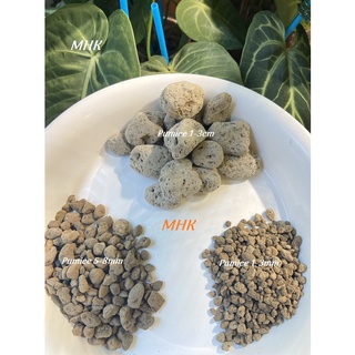 Đá Pumice (đá bọt , đá núi lửa, đá lông vũ ) trồng cây, vật liệu lọc!