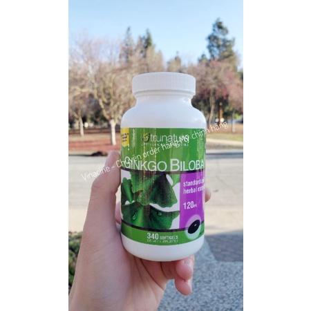 Viên uống bổ não Ginkgo Biloba 340 viên của Mỹ