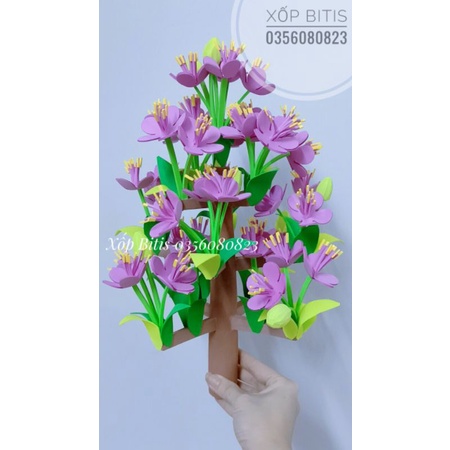 Cây hoa đào, cây hoa mai xốp - tết và mùa xuân