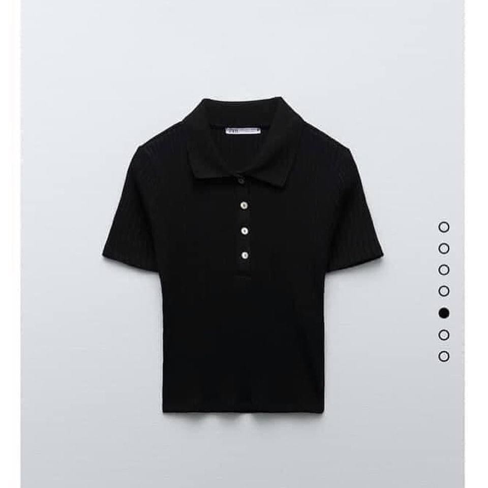 Áo polo cổ trụ chất bozip siêu hot mặc ở 🍓🍓🍓 | BigBuy360 - bigbuy360.vn