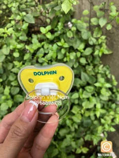 Ty ngậm Dolphin