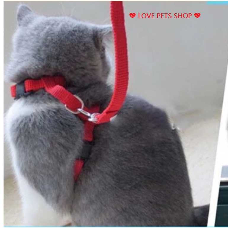 DÂY DẮT MÈO KÈM YẾM &quot;MẪU MỚI&quot; - LOVE PETS SHOP