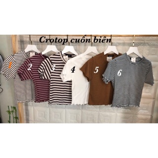 Áo thun croptop tay ngắn cổ tròn