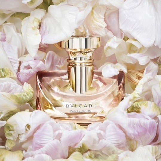 🌸🌸Nước hoa Bvlgari Rose Essentielle EDP - 50ml