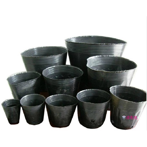 1kg Bầu ươm cây nilong
