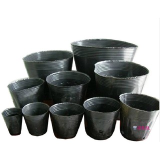 1kg Bầu ươm cây nilong