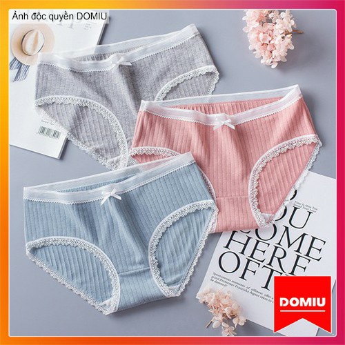 [ Mã 12FASHIONSALE1 giảm 10K đơn 50K ] Quần lót ren thái form to lưng cao, quần lót nữ vải ren xuyên thấu gợi cảm