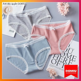 Quần lót nữ cạp lưới cao cấp chất cotton,kháng khuẩn